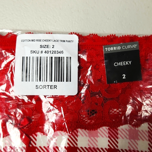 ♥️NWT VINTAGE TORRID RASPBERRY GINGHAM COTTON MID-RISE CHEEKY LACE TRIM PANTY - Picture 5 of 12